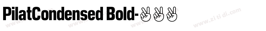 PilatCondensed Bold字体转换